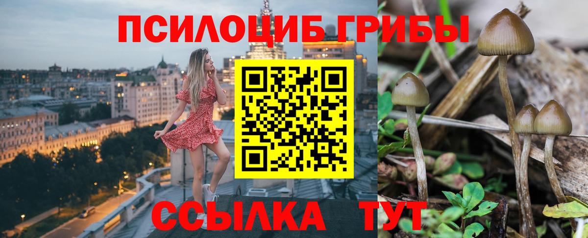 Псилоцибиновые грибы GOLDEN TEACHER  Вход с VPN  Урай  Галлюциногенные грибы Psilocybine cubensis 